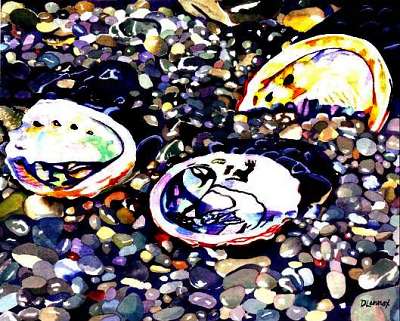 ab shells at Van Damme