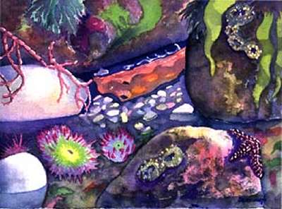 abalone at home