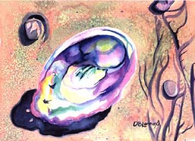 abalone on sand