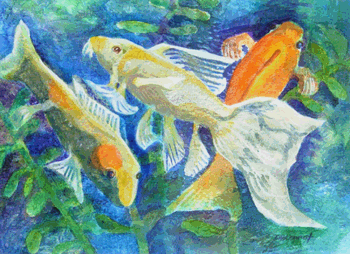 aquarium
