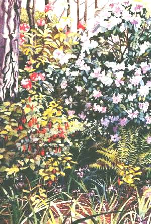forest flowers