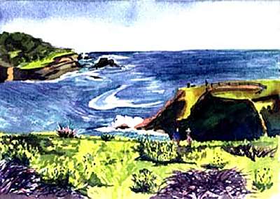Mendocino headlands