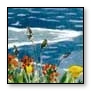 headlands spring
