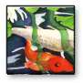 koi 2