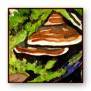 turkey tails