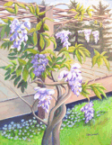 Wisteria